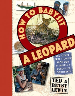 "How To Babysit a Leopard" by Ted and Betsy Lewin, 2015. Roaring Brook Press.